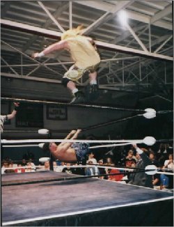 hf2.jpg (23902 bytes)